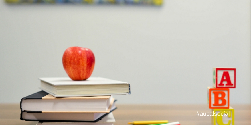 AUCAL Bussines School Blog educacion ¿Funcionan correctamente los Proyectos Educativos en los centros escolares?