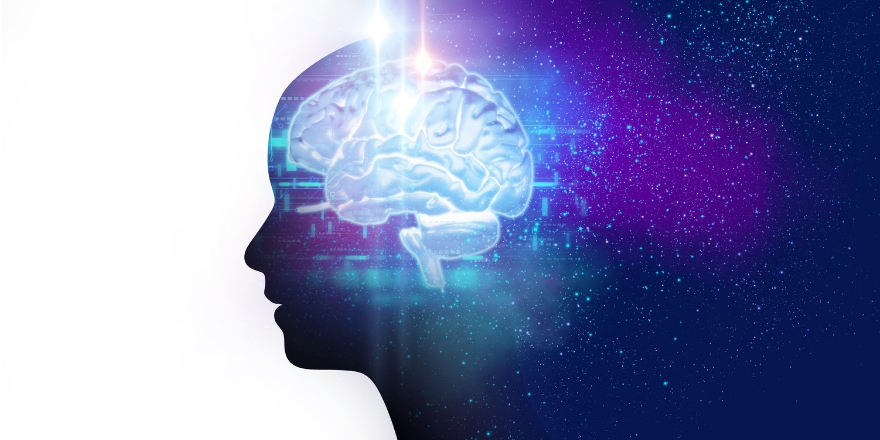 AUCAL Bussines School Blog educacion Adolescencia y cerebro