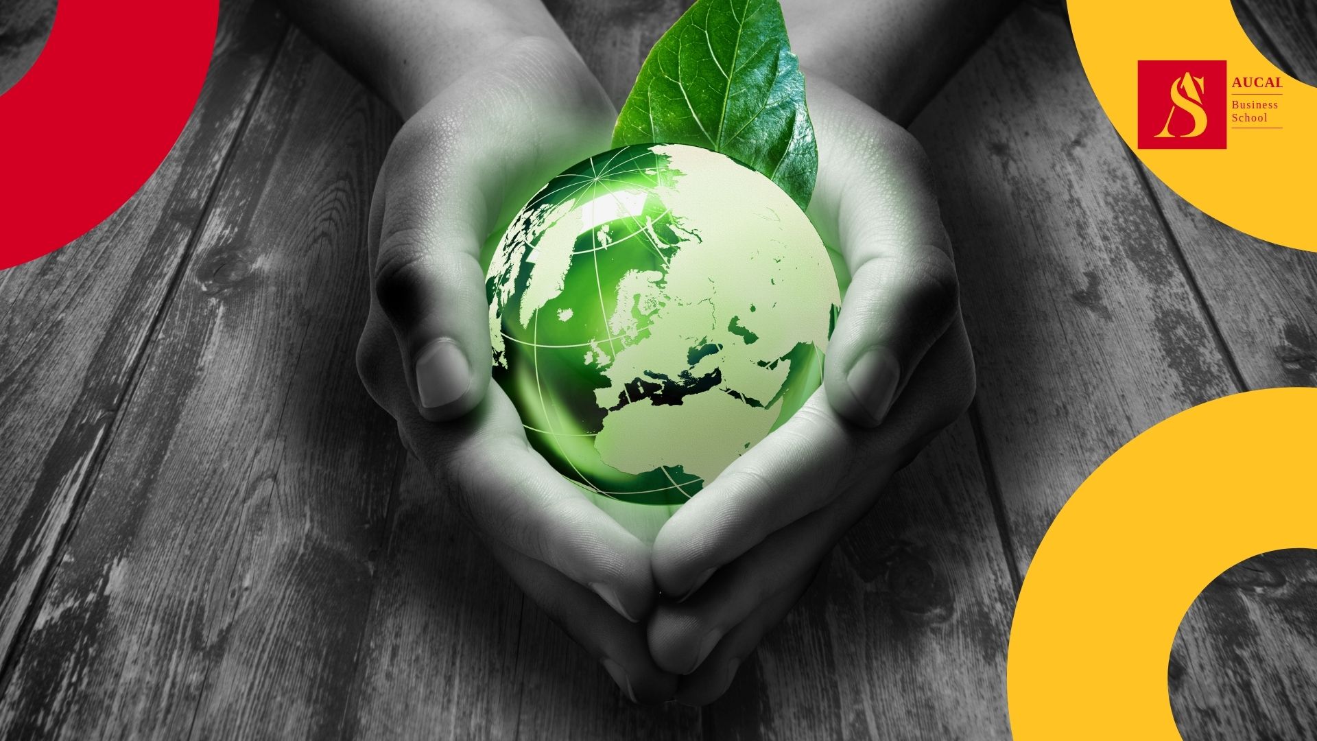 AUCAL Bussines School Blog Social 17avo Objetivo de los ODS: revitalizar la Alianza Mundial para el Desarrollo Sostenible