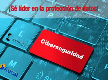 AUCAL Bussines School La demanda de profesionales especializados en Ciberseguridad es mayor